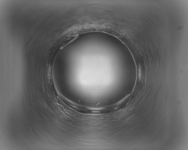X0000070161492200606021017