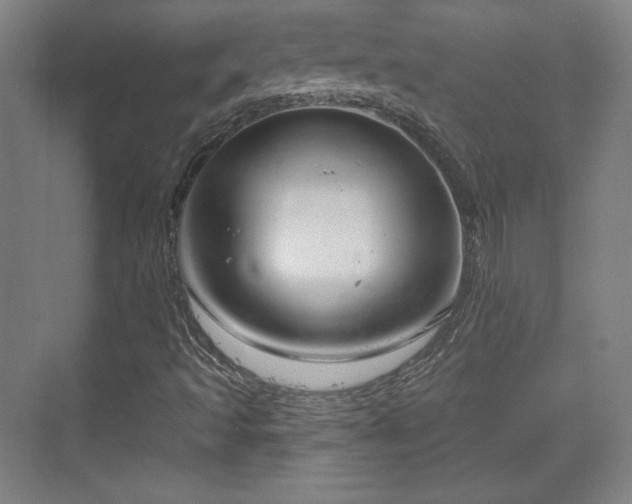 X0000070161493200606021017