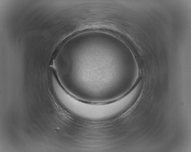 X0000070161497200606021018