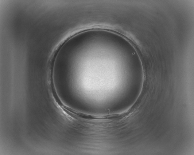 X0000070161504200606021018