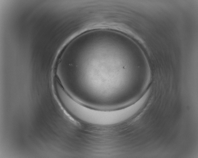 X0000070161517200606021018