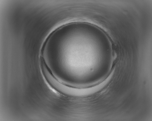 X0000070161519200606021018