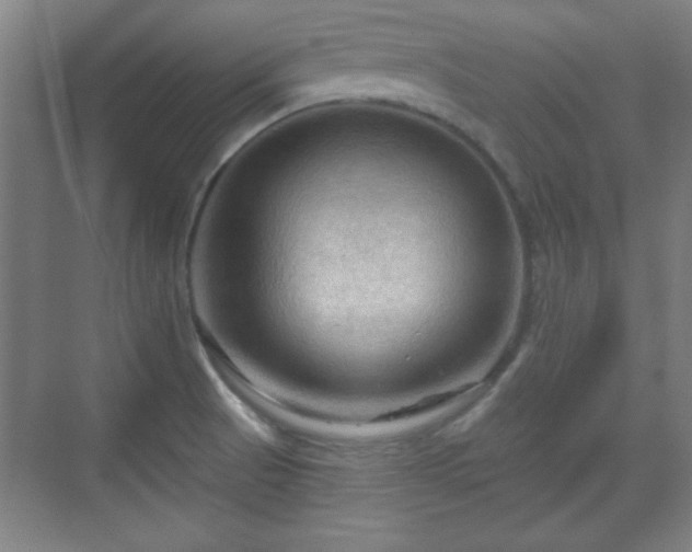X0000070161521200606021018