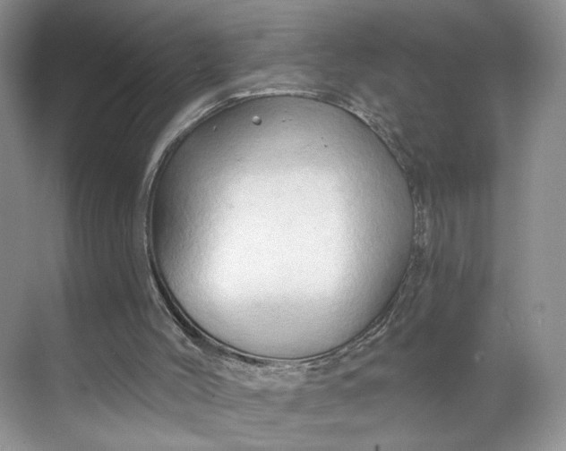 X0000070160004200606091427