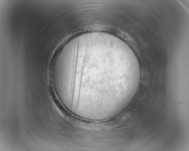 X0000070160012200606091427