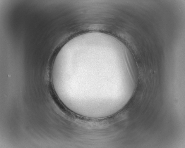 X0000070160016200606091427