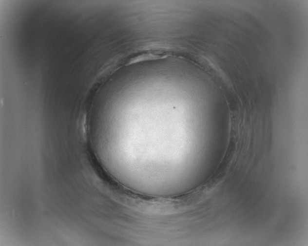X0000070160024200606091426
