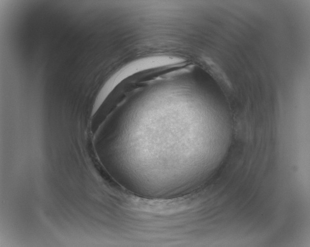 X0000070160026200606091426