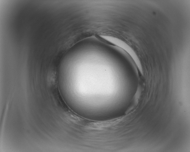 X0000070160033200606091426