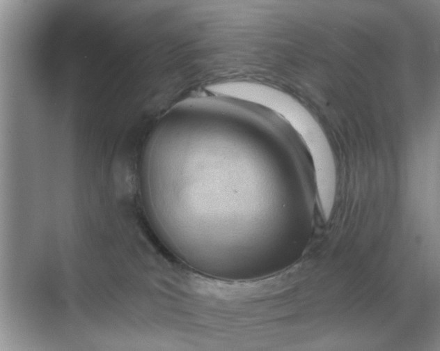 X0000070160039200606091426