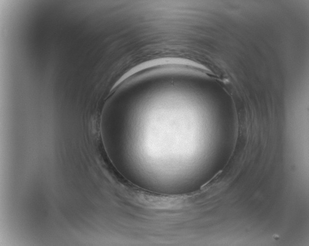 X0000070160044200606091426
