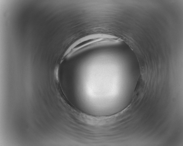 X0000070160047200606091426