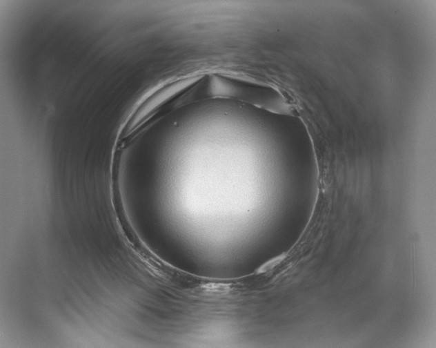 X0000070160052200606091425