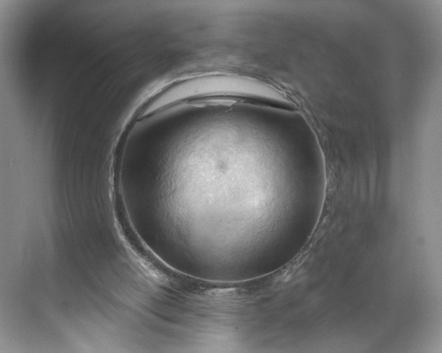 X0000070160054200606091425