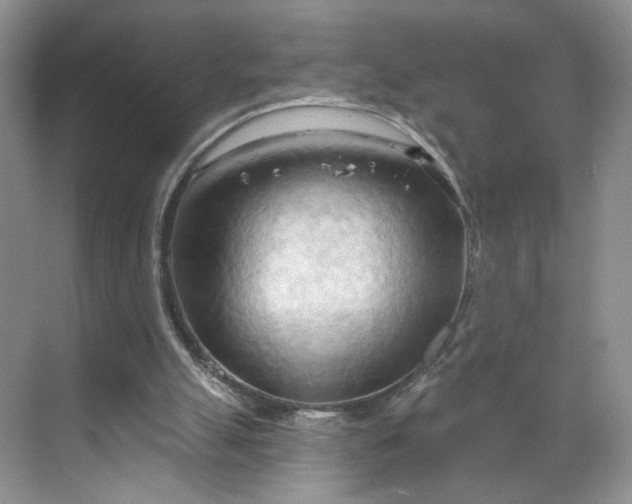 X0000070160055200606091425