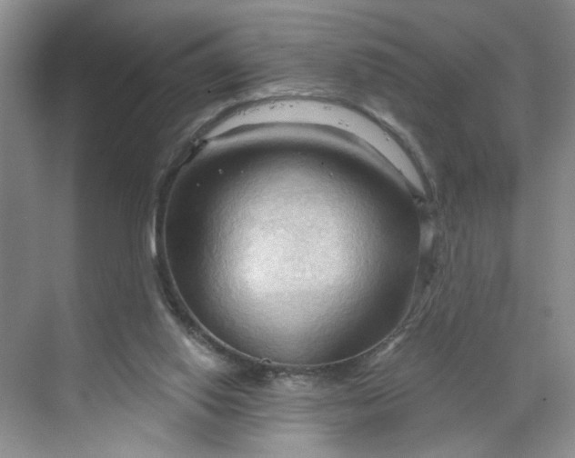 X0000070160062200606091425
