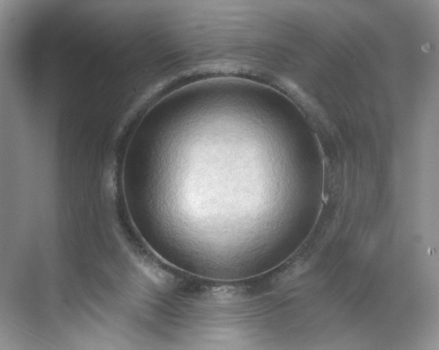 X0000070160064200606091425