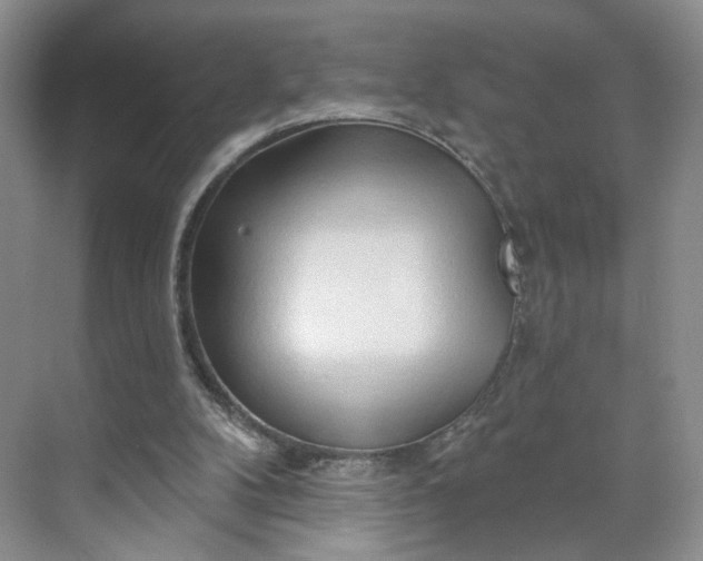X0000070160104200606091425