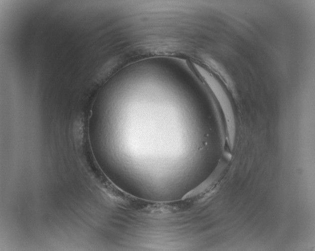 X0000070160113200606091425