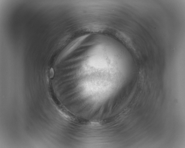 X0000070160114200606091425