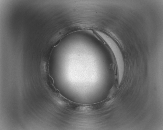 X0000070160117200606091425