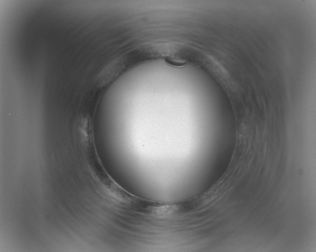 X0000070160122200606091425