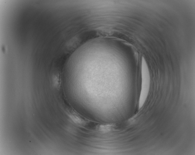 X0000070160134200606091425