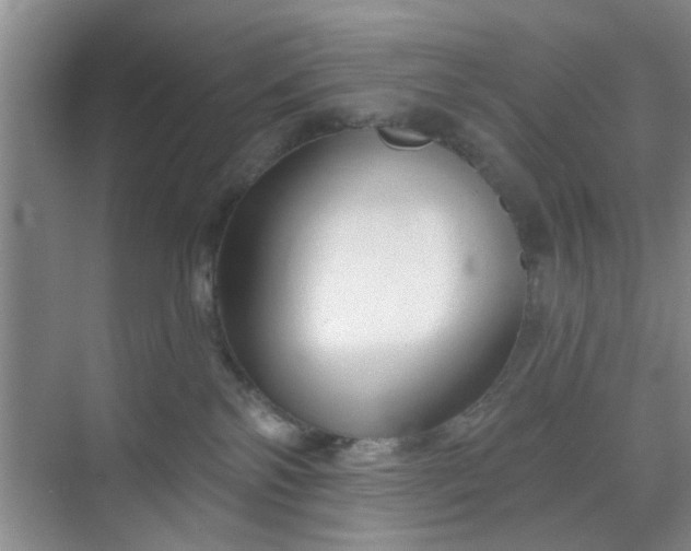 X0000070160138200606091424