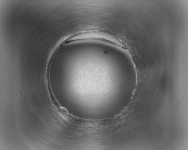 X0000070160147200606091424