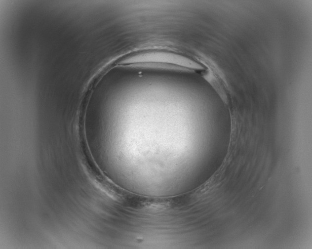 X0000070160155200606091424