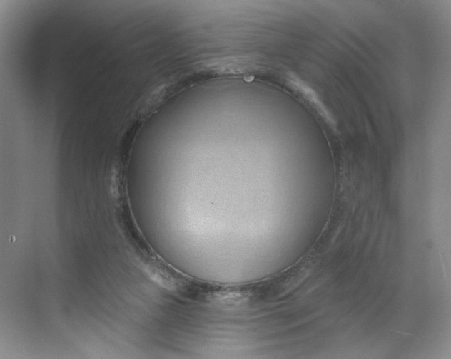 X0000070160161200606091424