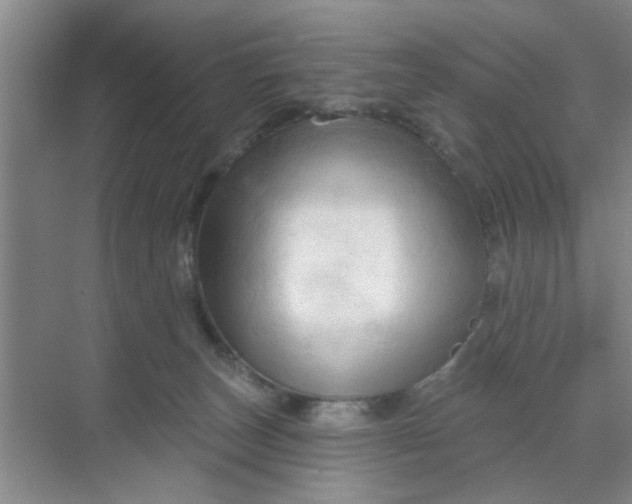 X0000070160179200606091424