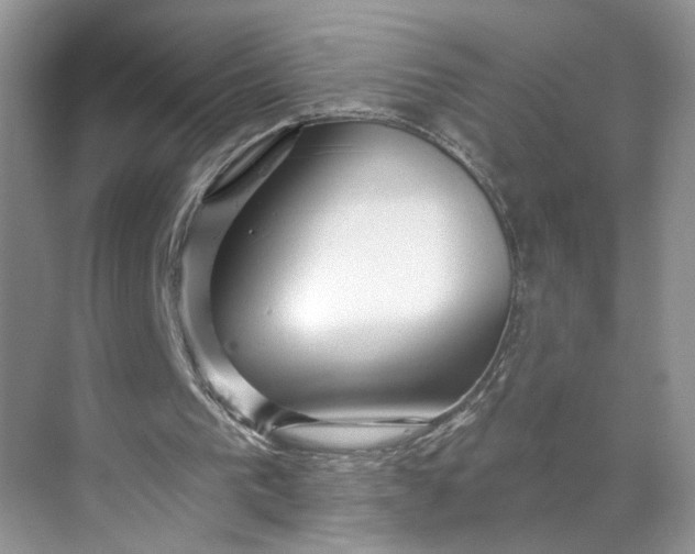 X0000070160193200606091424