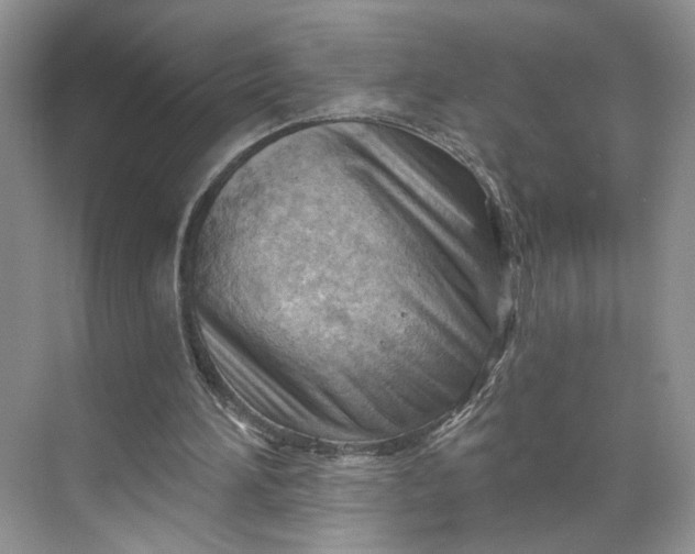 X0000070160196200606091423