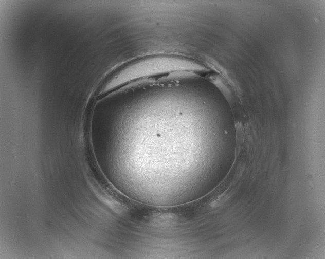 X0000070160203200606091423