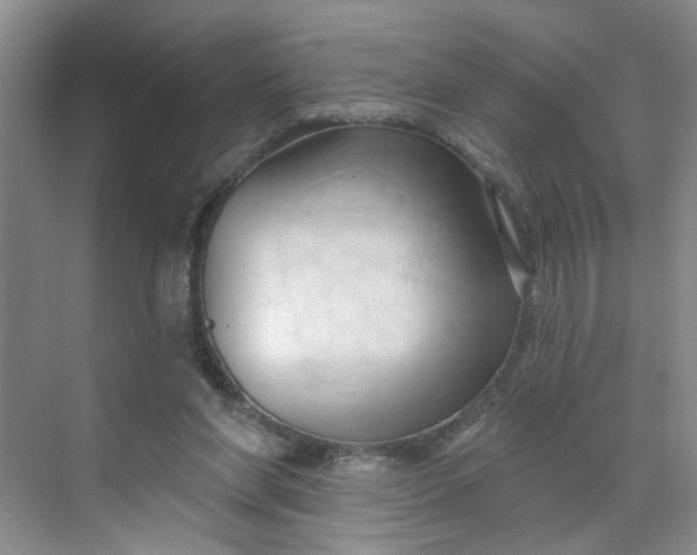 X0000070160206200606091423