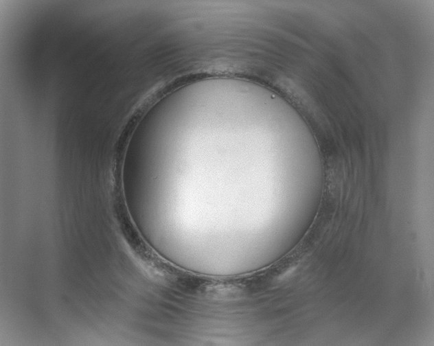 X0000070160208200606091423