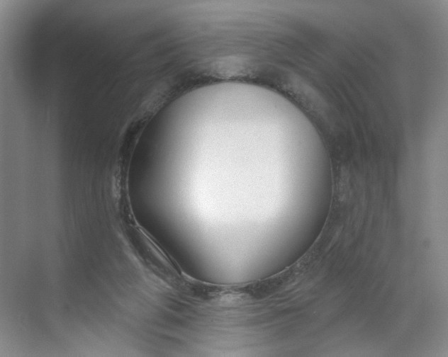 X0000070160210200606091423