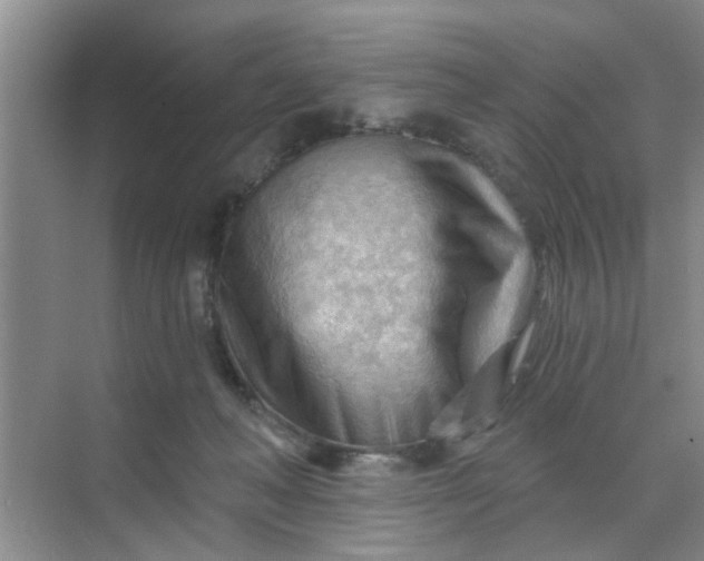 X0000070160222200606091423