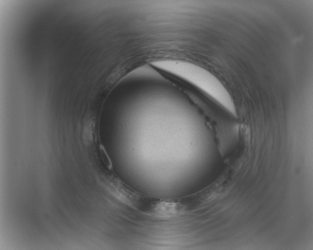 X0000070160227200606091423