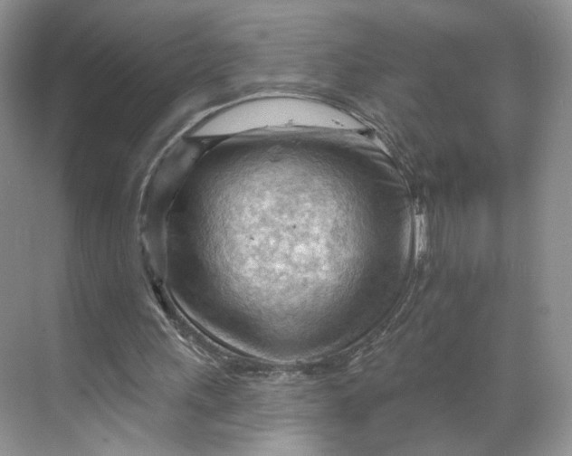 X0000070160243200606091422