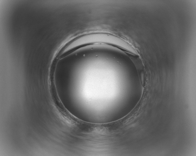 X0000070160248200606091422