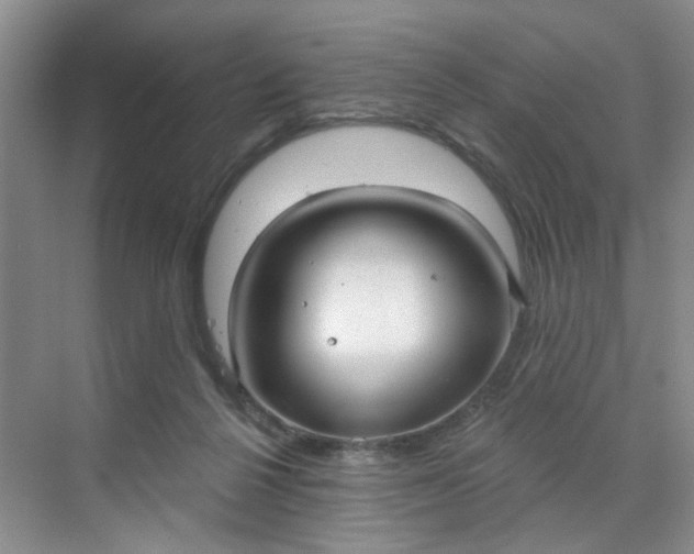 X0000070160264200606091422