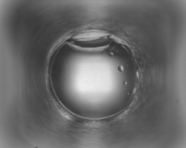 X0000070160293200606091422