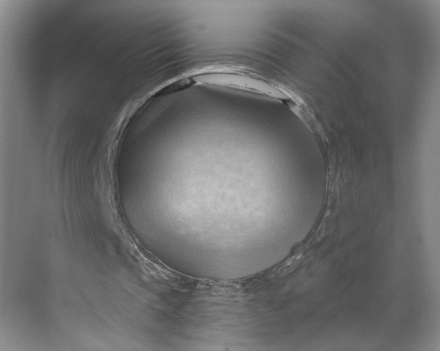 X0000070160337200606091420