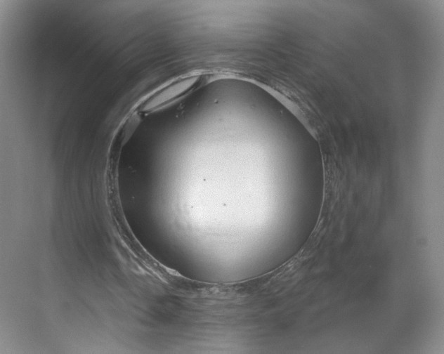 X0000070160338200606091420