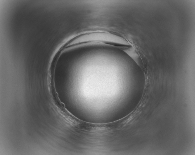 X0000070160342200606091420