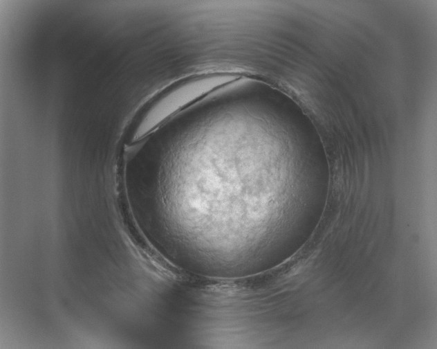 X0000070160351200606091421