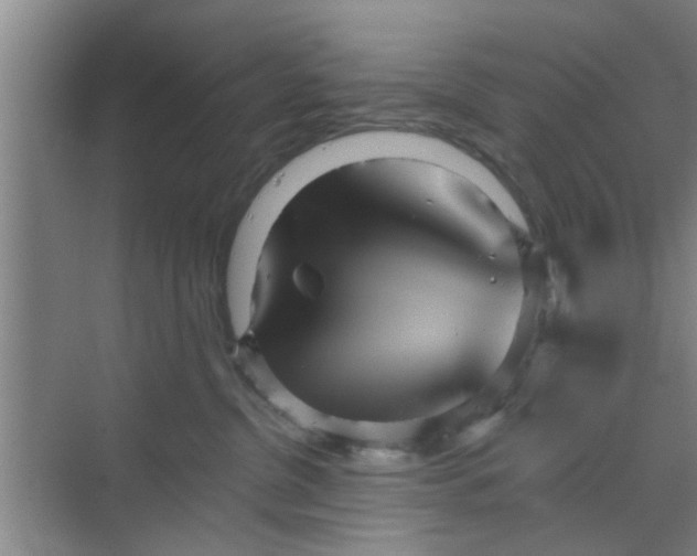 X0000070160380200606091421