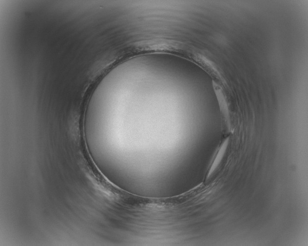 X0000070160394200606091420